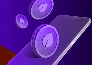 chia network commands